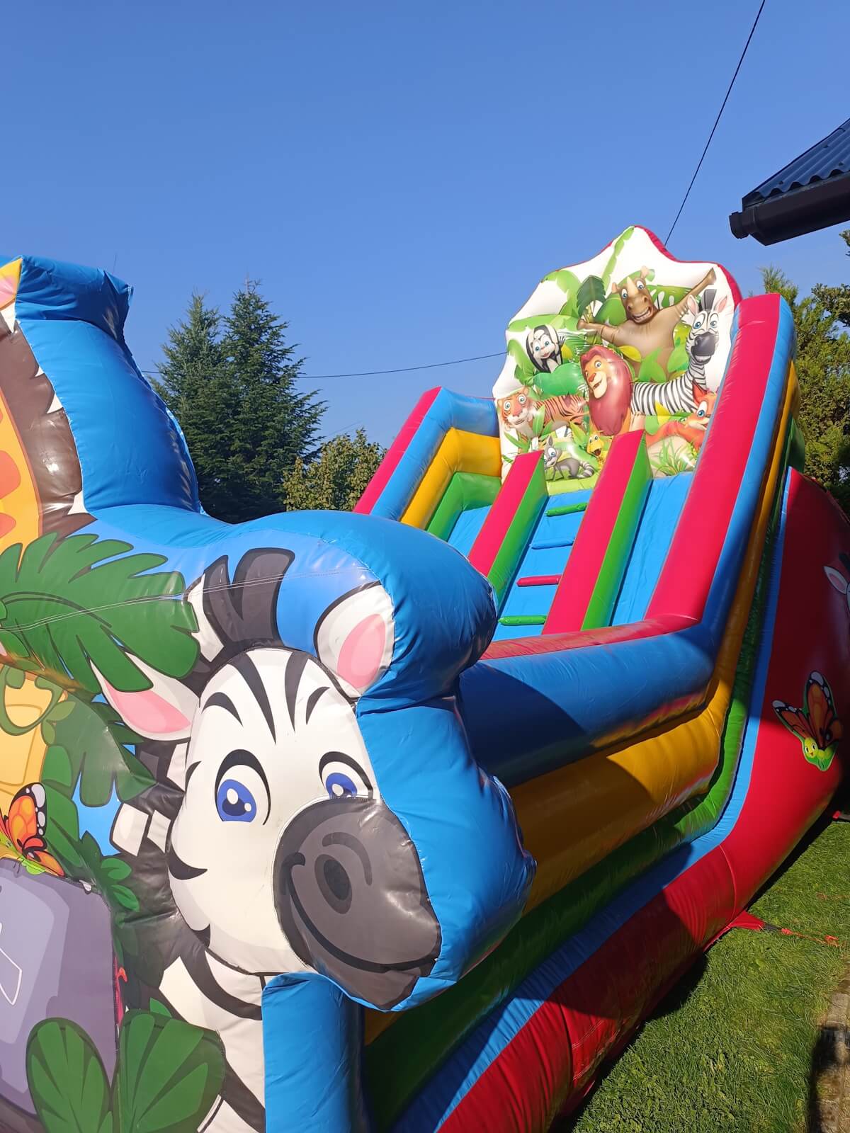 Jungle Park — detal